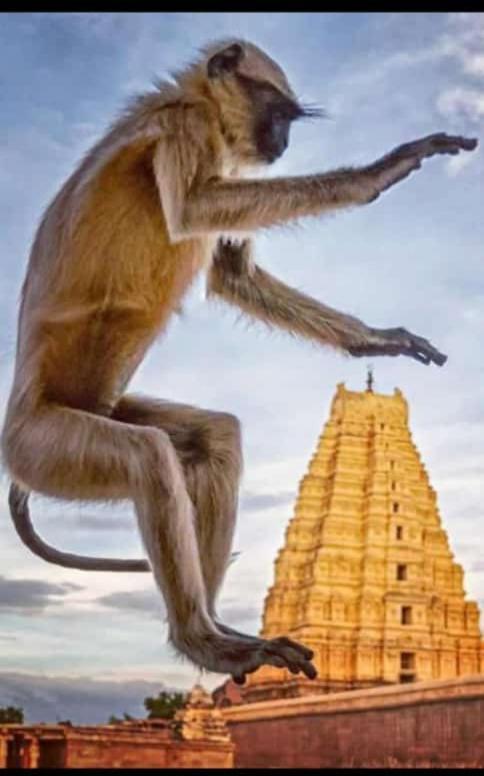 Mamatha Guest Inn Hampi Exteriör bild